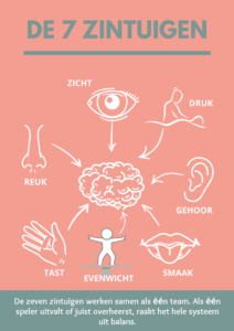 De 7 zintuigen